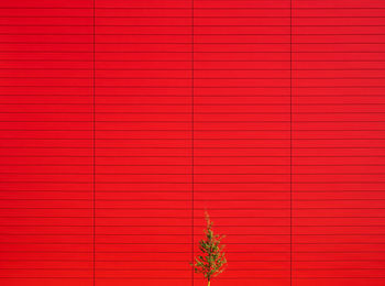 Full frame shot of red wall against building