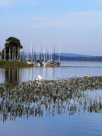 Sailboats in sea against sky