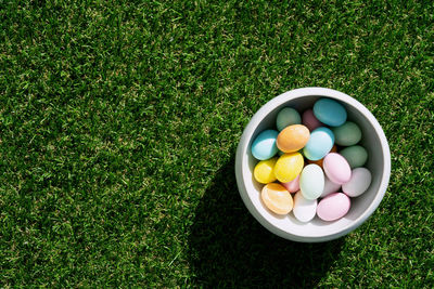 High angle view of eggs in field