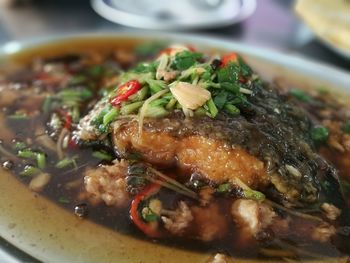 Close-up of meal served in plate