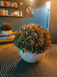 Close-up of potted plant on table