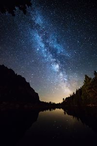 Reflection of trees in water at night