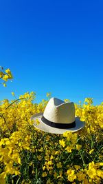 Rear view of woman wearing hat against blue sky