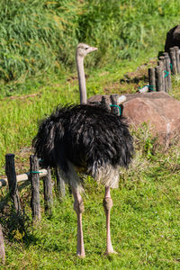 Rear view of man standing against wall