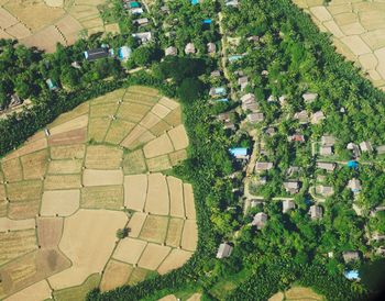 High angle view of trees growing outdoors