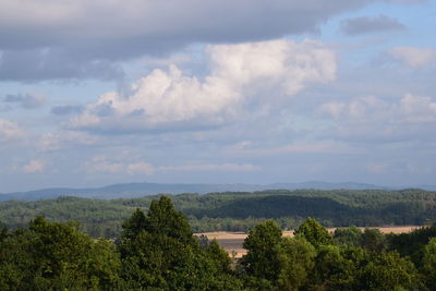 High angle view of trees on landscape against sky