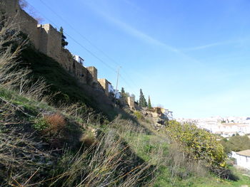 High angle view of trees and buildings against sky