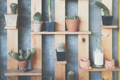 Potted plants on shelf