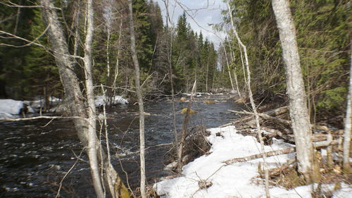 Scenic view of waterfall in forest during winter