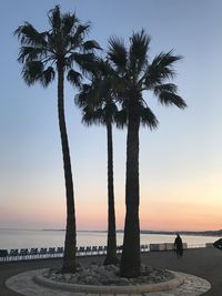 Silhouette palm trees on beach against sky during sunset