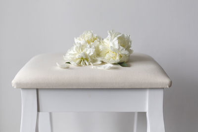 Close-up of white flowers on table