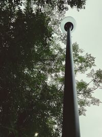 Low angle view of tree against sky