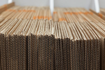Close-up of bamboo