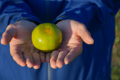 Close-up of man holding fruit
