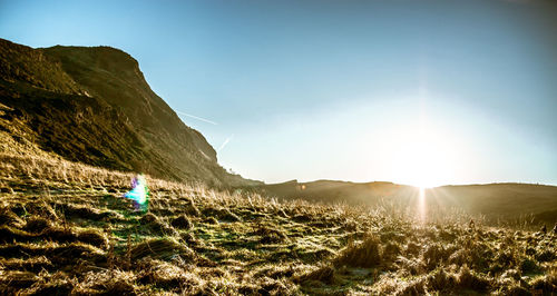 Scenic view of field against bright sun