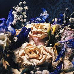 Close-up of wilted flower