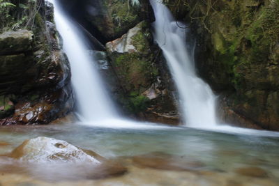 Scenic view of waterfall in forest