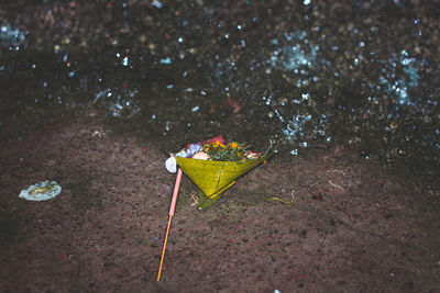 High angle view of paper flower on shore