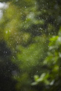 Full frame shot of wet window