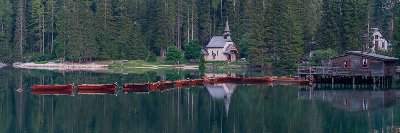 Scenic view of lake by trees in forest