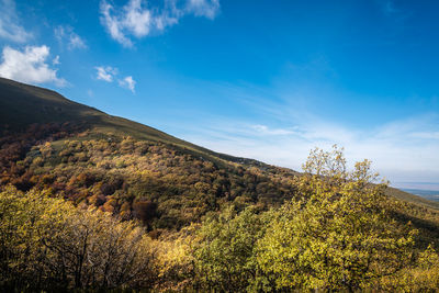 Scenic view of landscape against blue sky