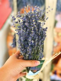 Close-up of woman holding flower