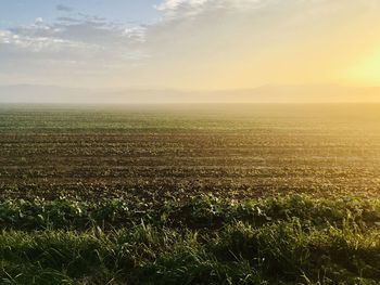 Scenic view of field against sky during sunset