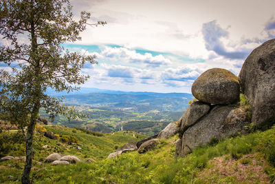 Scenic view of landscape against sky