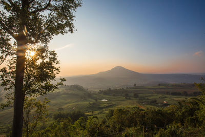 Scenic view of landscape against sky during sunset