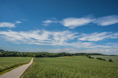 Scenic view of agricultural field against sky