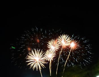 Low angle view of firework display at night