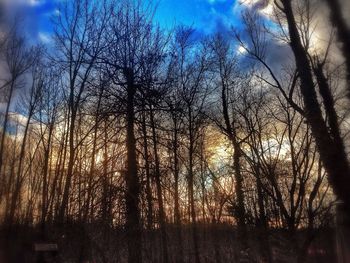 Bare trees against sky at sunset