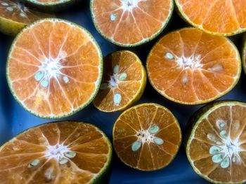High angle view of oranges