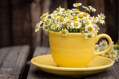 Close-up of yellow flowers on table