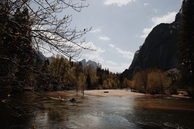 Scenic view of lake by trees against sky