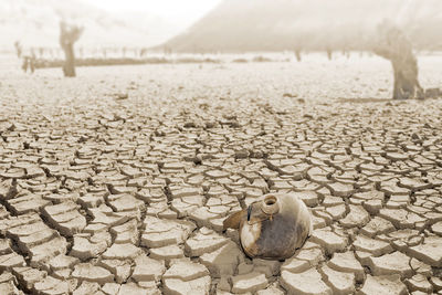 Dry cracked earth by global warming effect in luna village , leon , spain ,  for background texture