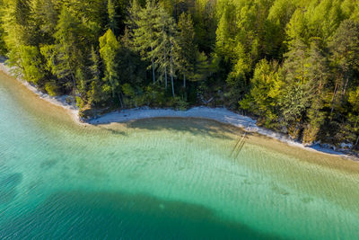 Aerial image of beautiful natural beach of lake fuschlsee, salzburg, austria