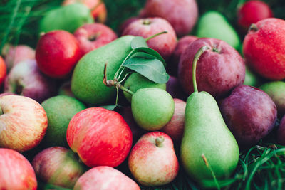 Full frame shot of apples and pears