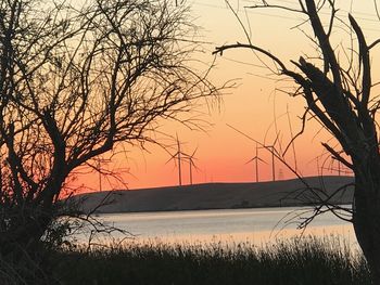 Silhouette bare trees by sea against romantic sky at sunset