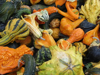 Close-up of pumpkins for sale at market