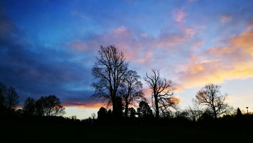 Silhouette trees on landscape against sky at sunset