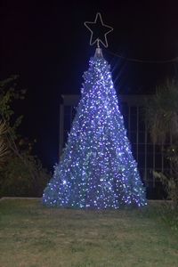 Illuminated christmas tree at night