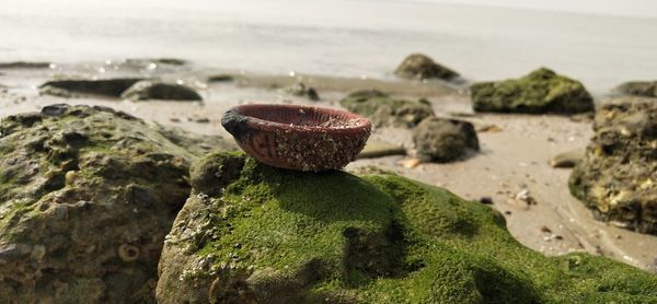 Close-up of rock on beach