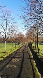 Empty road along trees