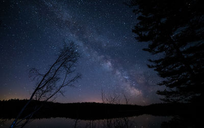 Low angle view of silhouette trees against sky at night