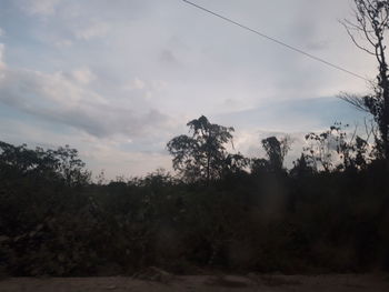 Low angle view of silhouette trees against sky