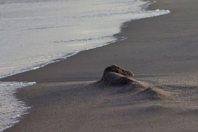 Scenic view of sea shore