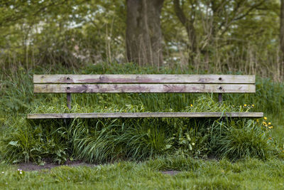 Empty bench in park