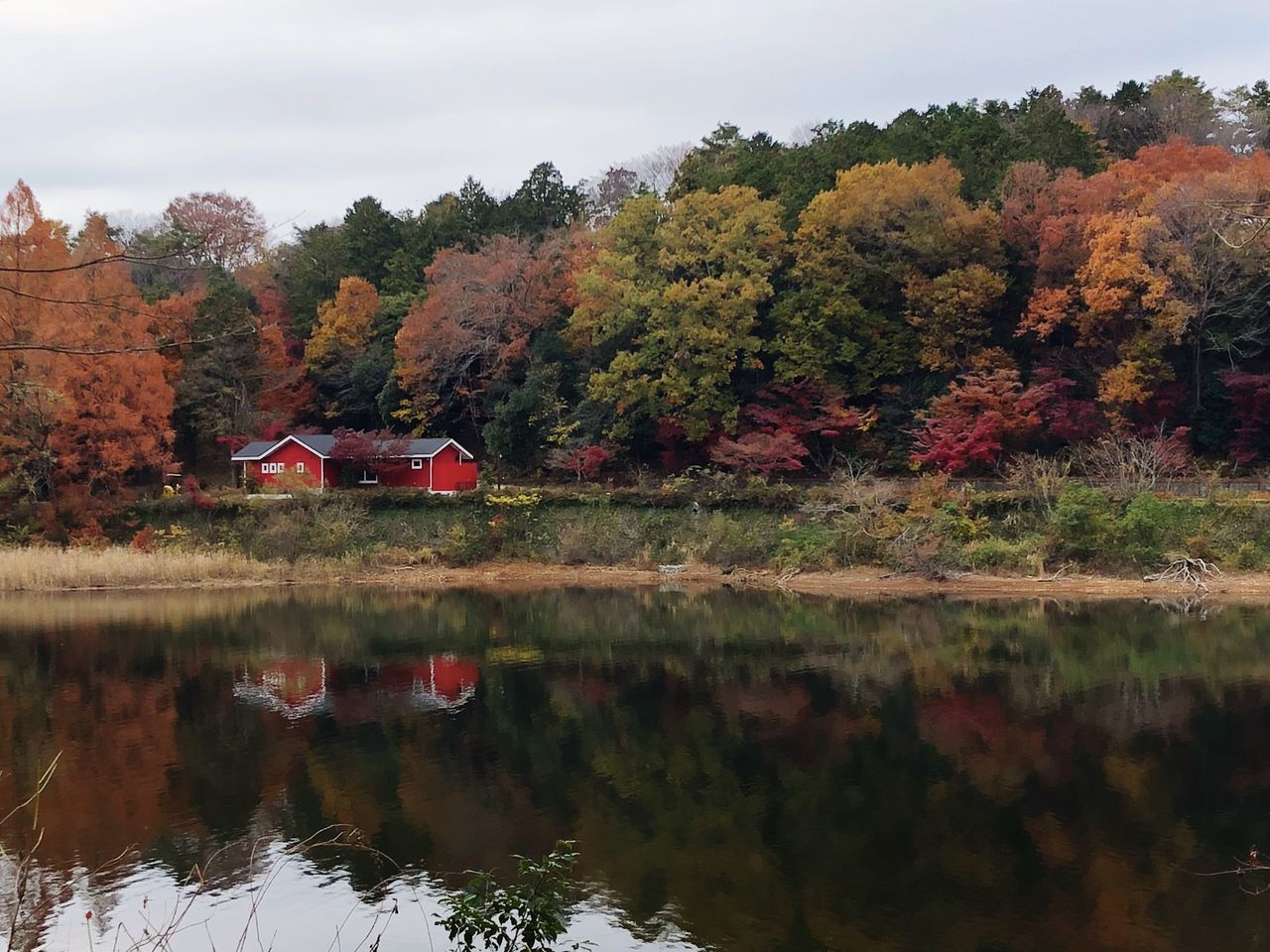 TREES BY LAKE AGAINST SKY DURING AUTUMN