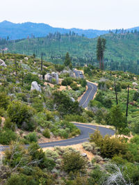 High angle view of road amidst trees against sky